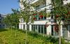 Green roof with small trees